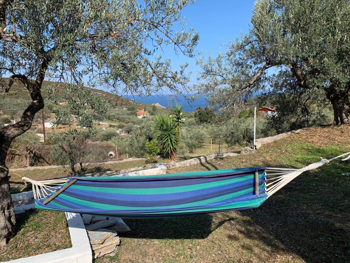 Olive Hill Private House Villa Poros Town Exterior foto
