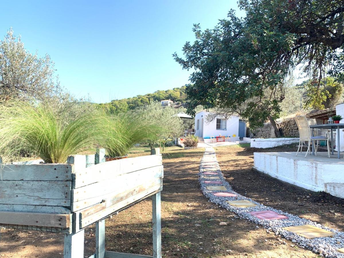 Olive Hill Private House Villa Poros Town Exterior foto