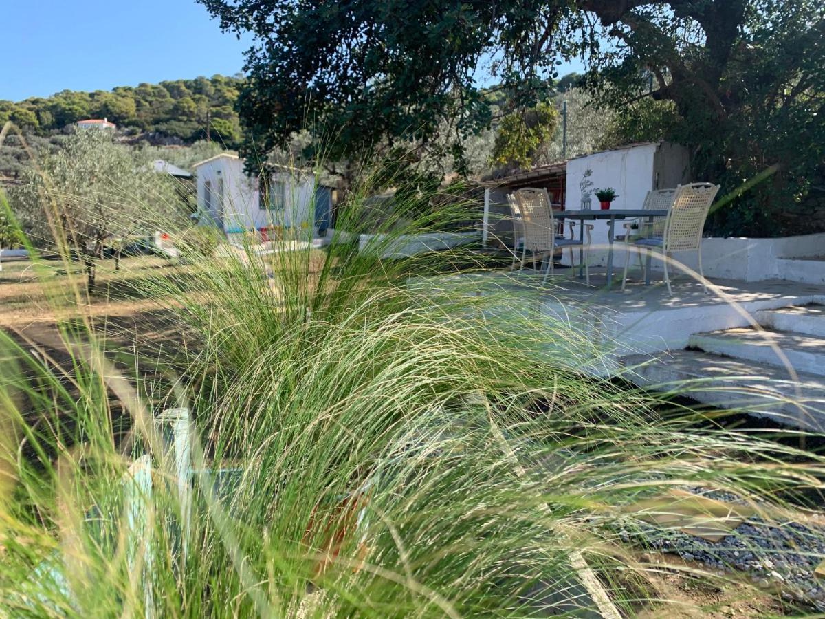 Olive Hill Private House Villa Poros Town Exterior foto