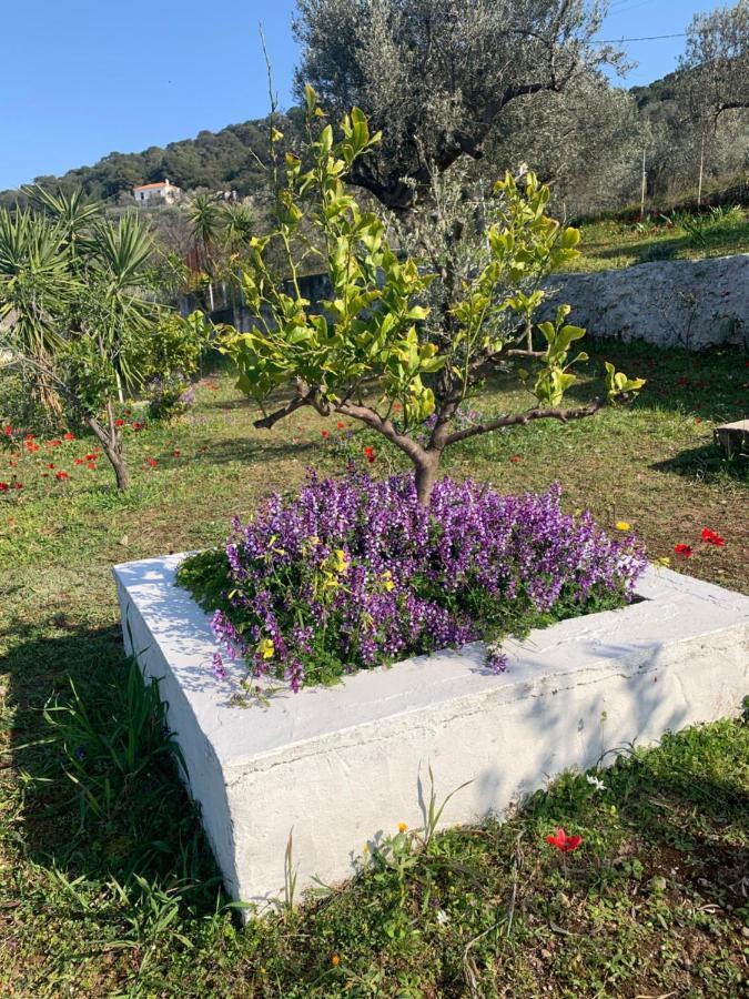 Olive Hill Private House Villa Poros Town Exterior foto