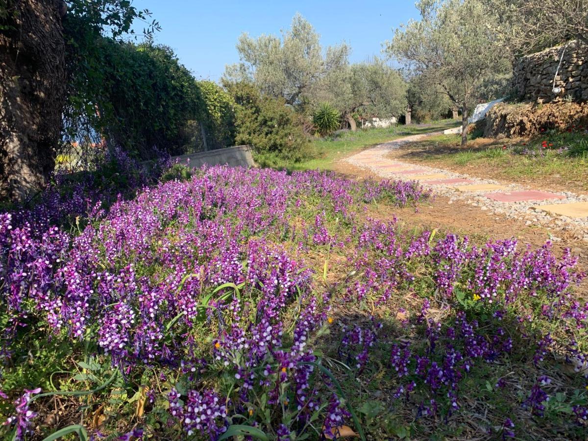 Olive Hill Private House Villa Poros Town Exterior foto